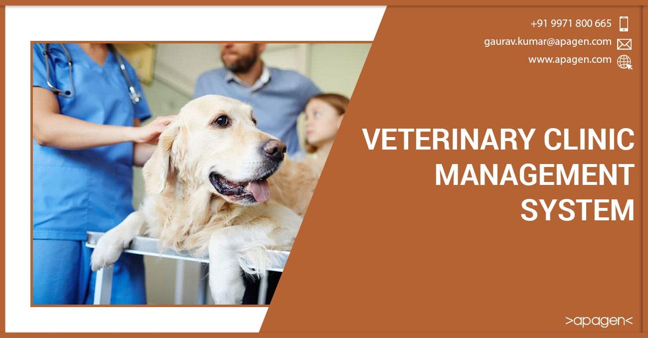veterinary clinic management system thesis