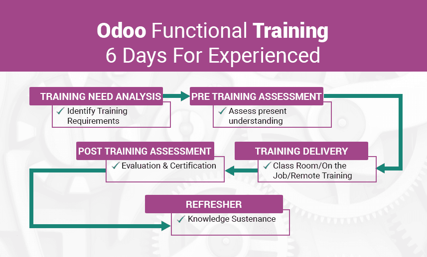 Odoo Functional Training for Experienced - By Apagen