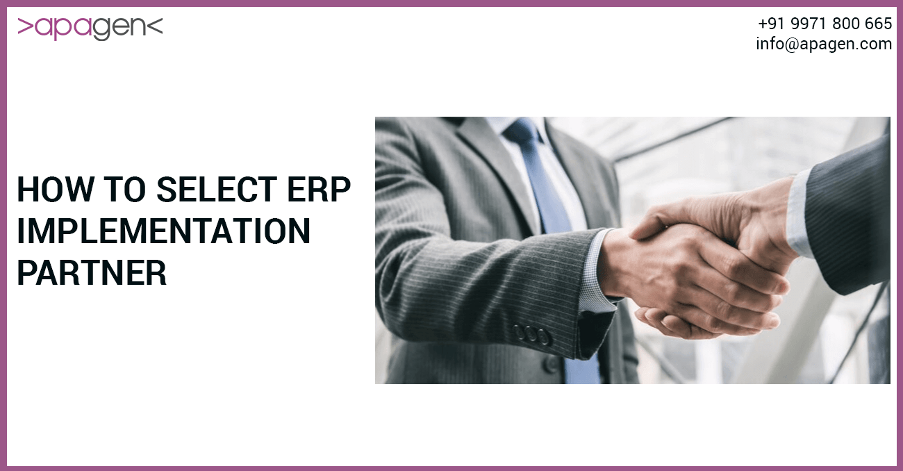 ERP implementation partner