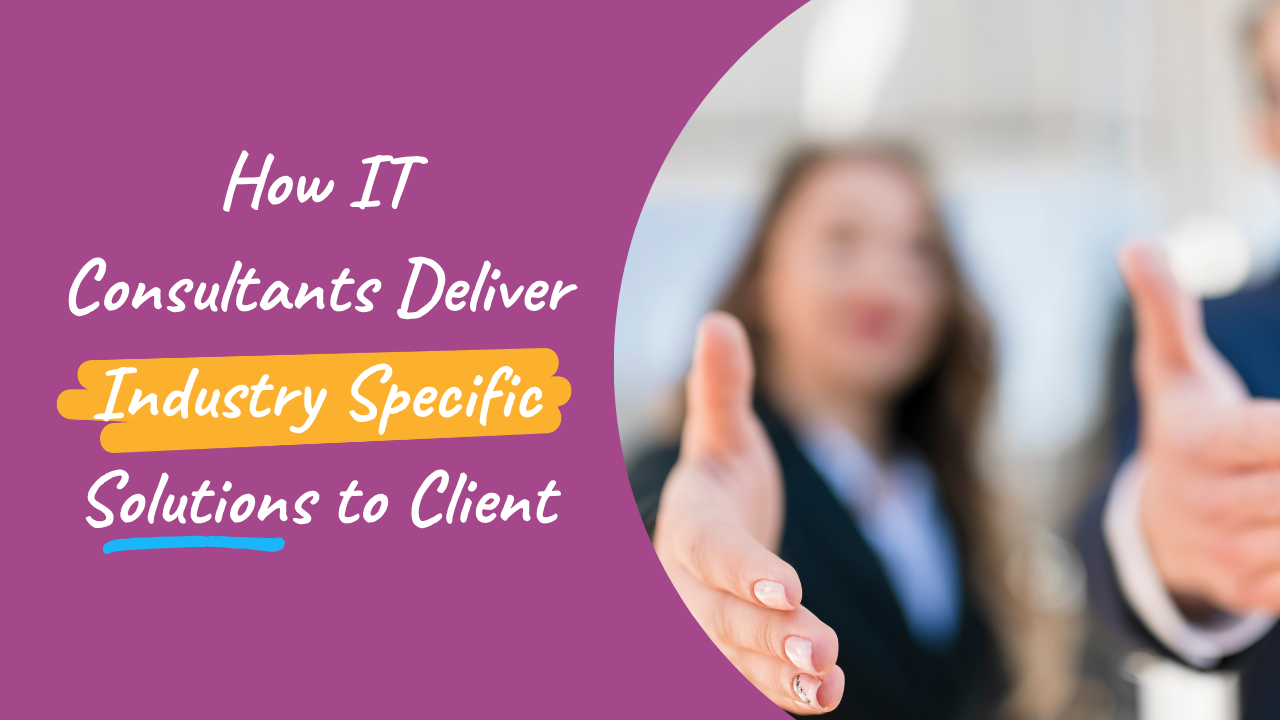 How IT Consultants Deliver Industry Specific Solutions to Client