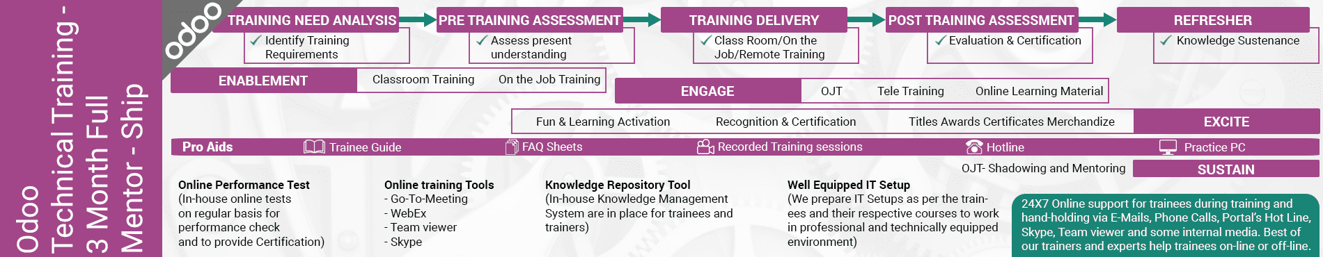 odoo mentorship training